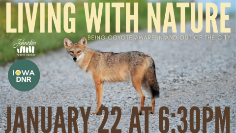 Living with Nature: Being Coyote Aware In and Out of the City January 22 at 6:30pm with Iowa DNR